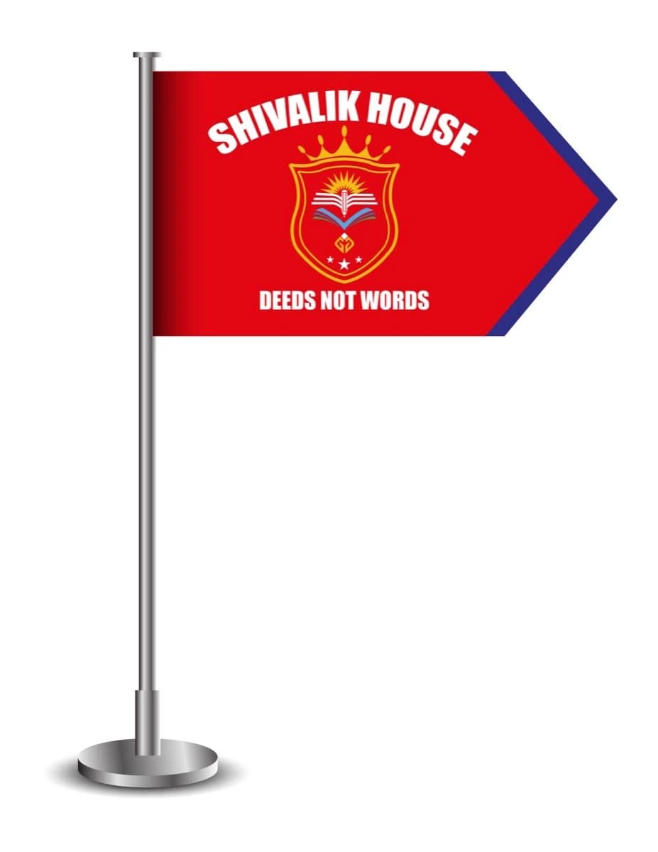 Vindhyachal House Official Flag